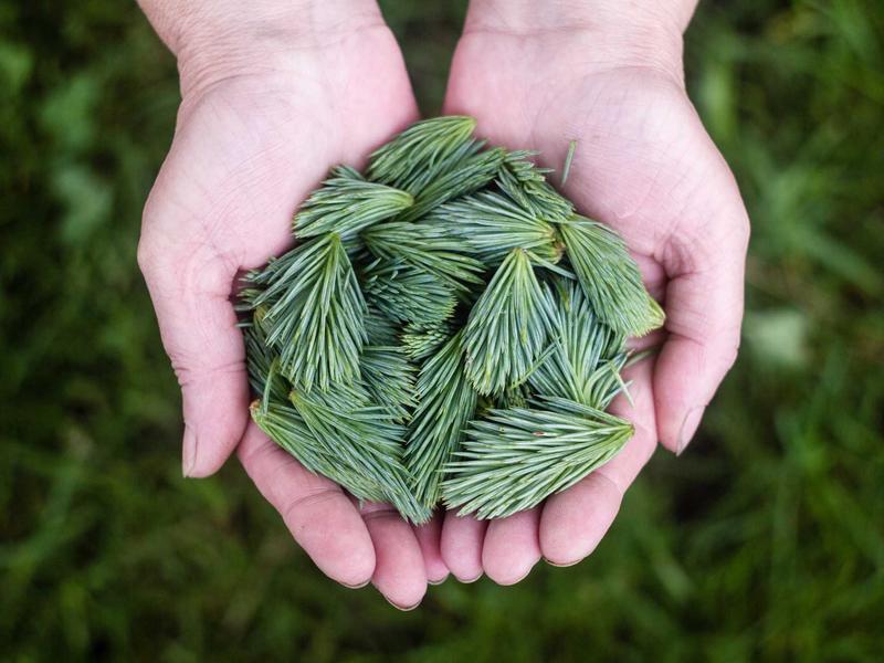 如何打造积极向上的企业文化